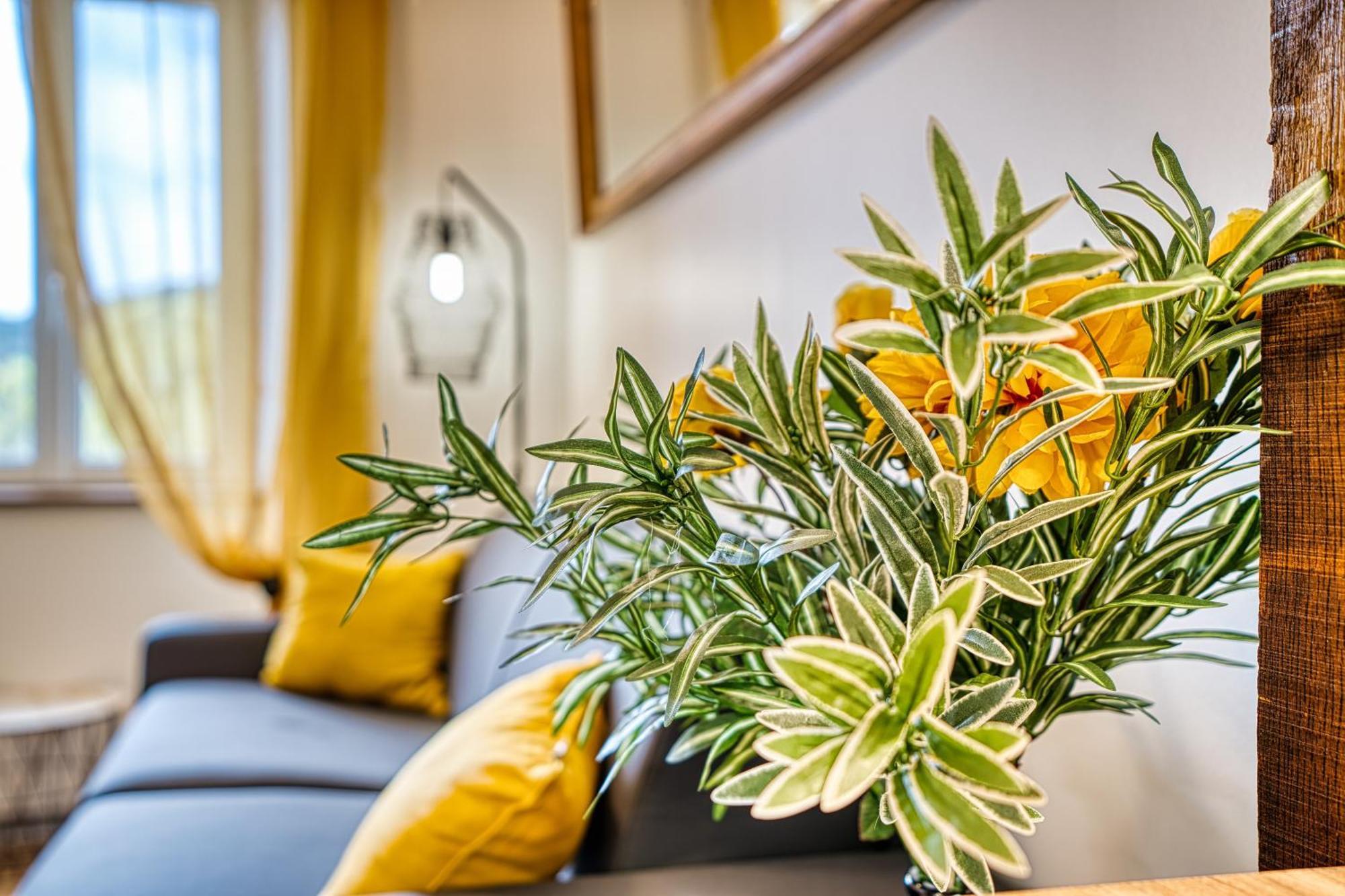 Appartement Les Hourtous Netflix Wi-Fi Fibre Terasse 4 Pers à Banassac Extérieur photo